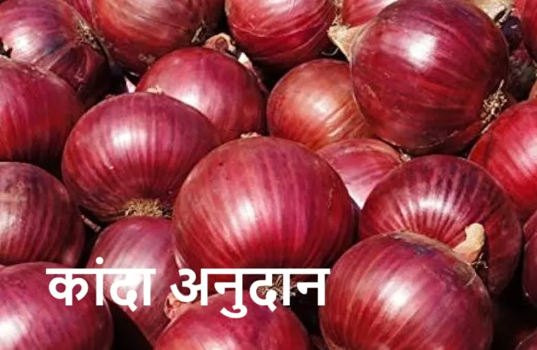 kanda anudan 2023 maharashtra date