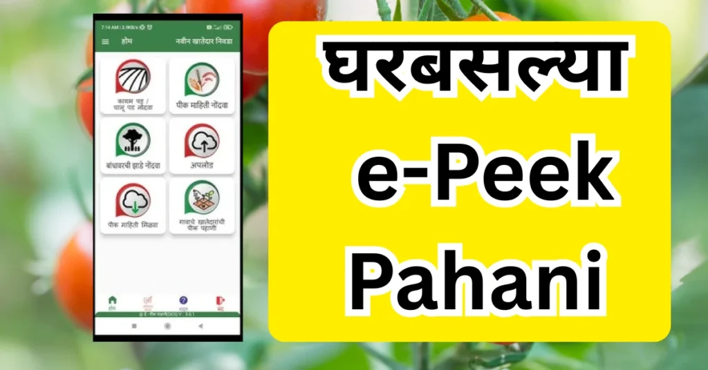 e-Peek Pahani kashi karaychi in marathi